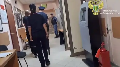 13-летнего школьника похитили и долго избивали в Хабаровском крае