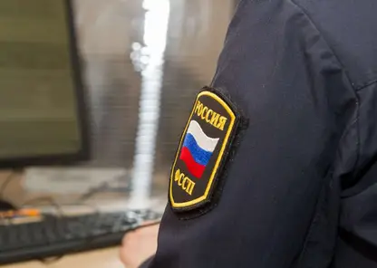 В Красноярском крае мужчина с топором напал на приставов