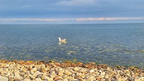 Жёлто‑зелёная вода в Байкале: что случилось у Кругобайкальской железной дороги?