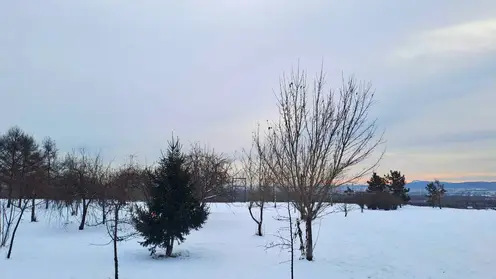 Снова -40: прогноз погоды на 17 января в Красноярске