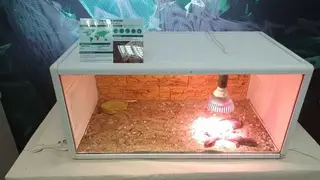 Суд запретил зоопарку «Spiders land» работать без лицензии: ранее он провел выставку животных в Красноярске Суд запретил зоопарку «Spiders land» работать без лицензии: ранее он провел выставку животных в Красноярске