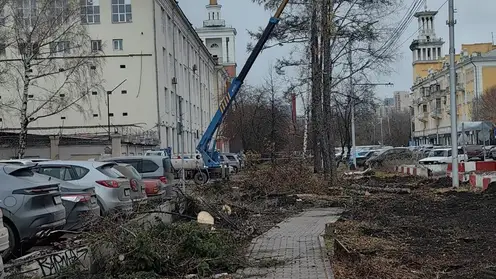 «Зато будет метро». Урбанистка раскритиковала вырубку деревьев в Красноярске