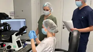 В Красноярской клинической больнице №4 впервые проведена криоконсервация эмбрионов