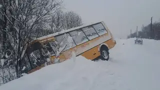 В Курагинском районе автобус с детьми съехал в кювет: водитель госпитализирован