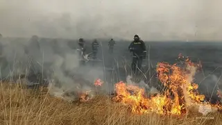 Число лесных пожаров в Забайкалье за сутки увеличилось вдвое