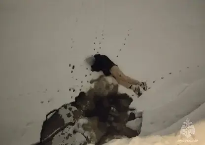 «Пытался достать смартфон». В центре Омска под лёд провалился подросток