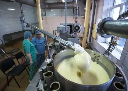 Из Красноярского края в Узбекистан отправили 20 тонн сгущенного молока