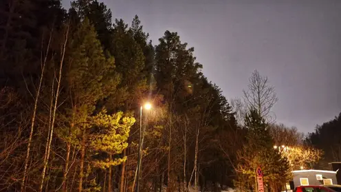 Тайна челябинского посёлка: 19-летнюю Елизавету Овчинникову нашли мёртвой спустя две недели поисков