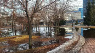 Днем только плюс. В Красноярске ожидается теплая, но пасмурная неделя Днем только плюс. В Красноярске ожидается теплая, но пасмурная неделя