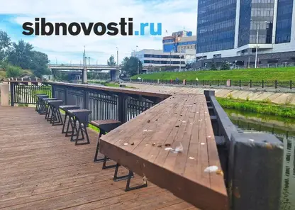 Голубиная атака: в Красноярске набережная Качи страдает от нашествия пернатых