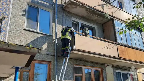 Минусинские спасатели за 12 минут вызволили застрявшего на балконе кота