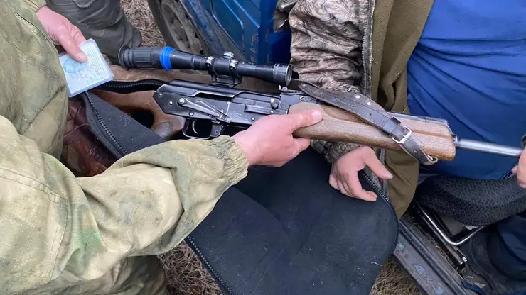 Сезон охоты на волков, кабанов и медведей открыт в Красноярском крае