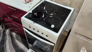 В Новосибирске собака устроила взрыв в квартире В Новосибирске собака устроила взрыв в квартире