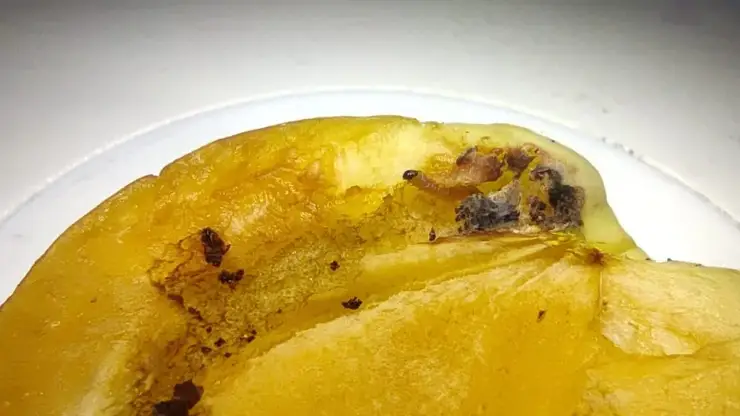 В Красноярске остановили ввоз заражённых нектаринов