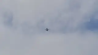 Самолёты десяти авиакомпаний не могут вылететь из Омска из-за тумана Самолёты десяти авиакомпаний не могут вылететь из Омска из-за тумана