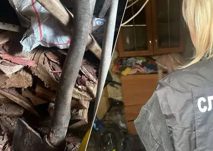 Мать психически нездорова, отец бил ребенка: что известно о семье из Канска, в которой женщина убила троих детей