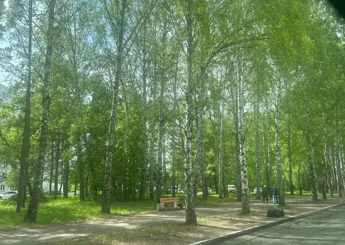 В Красноярск придёт жара: в среду, 24 июня воздух прогреется до +30°