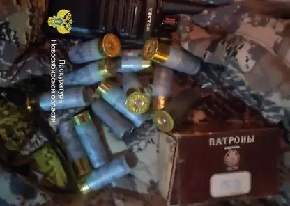 Застрелившего главу Ленинского района Новосибирска отпустили под подписку о невыезде