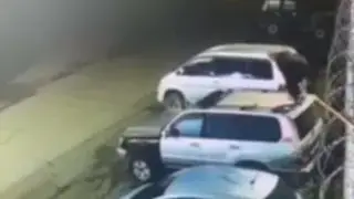 От медведя - на крышу, с крыши - на забор: житель Камчатки спасся от хищника акробатическим трюком