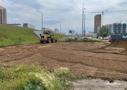 В Красноярске обустраивают четыре площадки для выгула собак