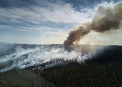 Площадь лесных пожаров в Бурятии за сутки выросла почти до 36 тысяч гектаров