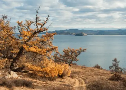 Суд потребовал вернуть в собственность государства участки земель нацпарка у озера  Байкал
