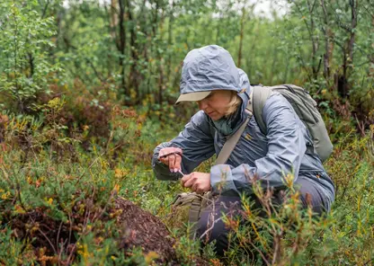 Вице-президент «Норникеля» Сергей Ткаченко: «Результаты экспедиций СО РАН и компании еще предстоит осмыслить в полной мере»