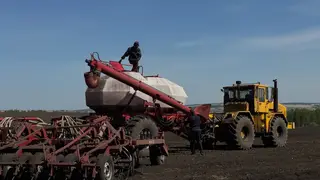 В Красноярском крае аграрии приступили к весеннему севу на две недели позже обычного