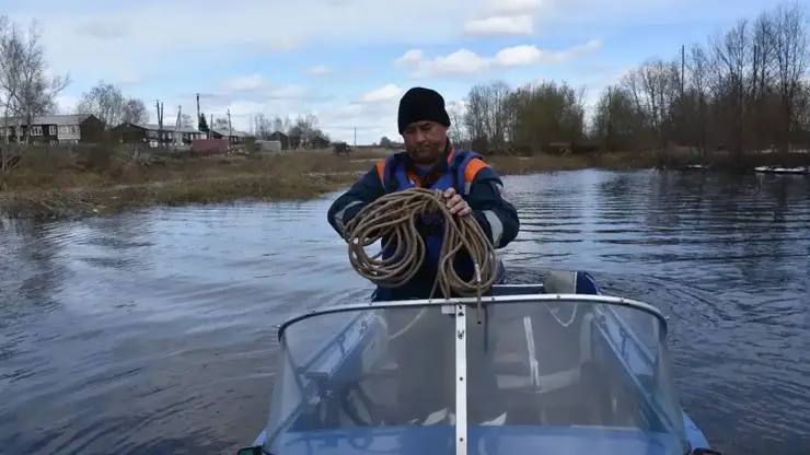 В Красноярском крае спасатели эвакуировали собаку, которая три дня просидела на острове из-за разлива реки