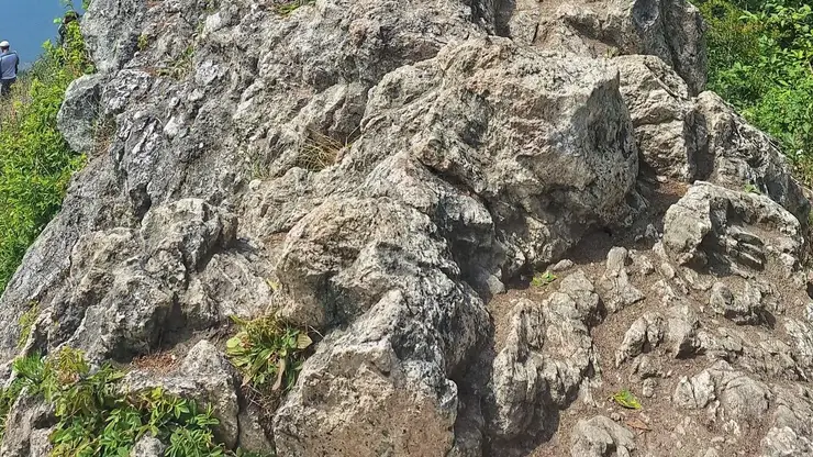 Тысячи человек возьмутся за руки в Забайкалье ради рекорда России