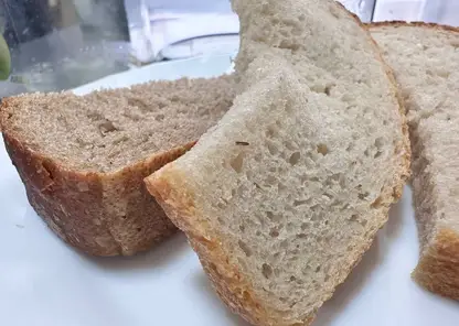 Школьникам подали в столовой зараженный хлеб с насекомыми на Камчатке