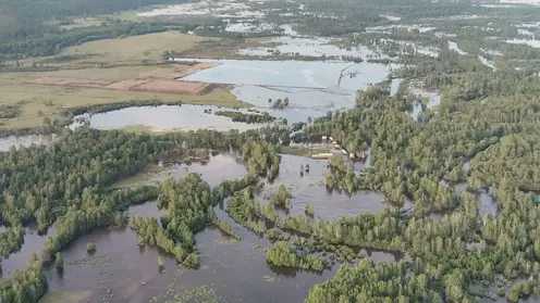 Более 200 участков подтопила река в Чите
