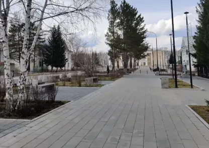 В Бородино Красноярского края обезвредили медведя