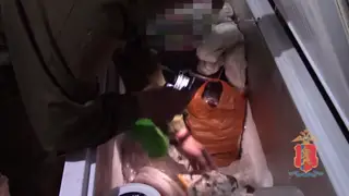 В Красноярском крае пенсионер наловил краснокнижной рыбы на полмиллиона рублей