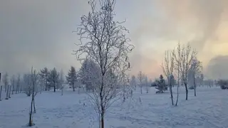 Снег и -2. Прогноз погоды на 15 декабря в Красноярске Снег и -2. Прогноз погоды на 15 декабря в Красноярске