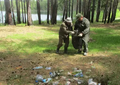 250 гектаров леса очистили от мусора в Красноярском крае