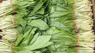 В Красноярске начали продавать первую в этом году черемшу