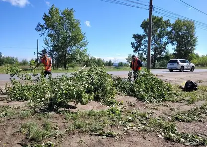 Около 2,5 тысяч человек остаются без света в Иркутской области после ливня с грозой