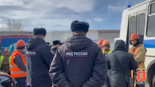 В Красноярске на стройках и в кафе проверили мигрантов