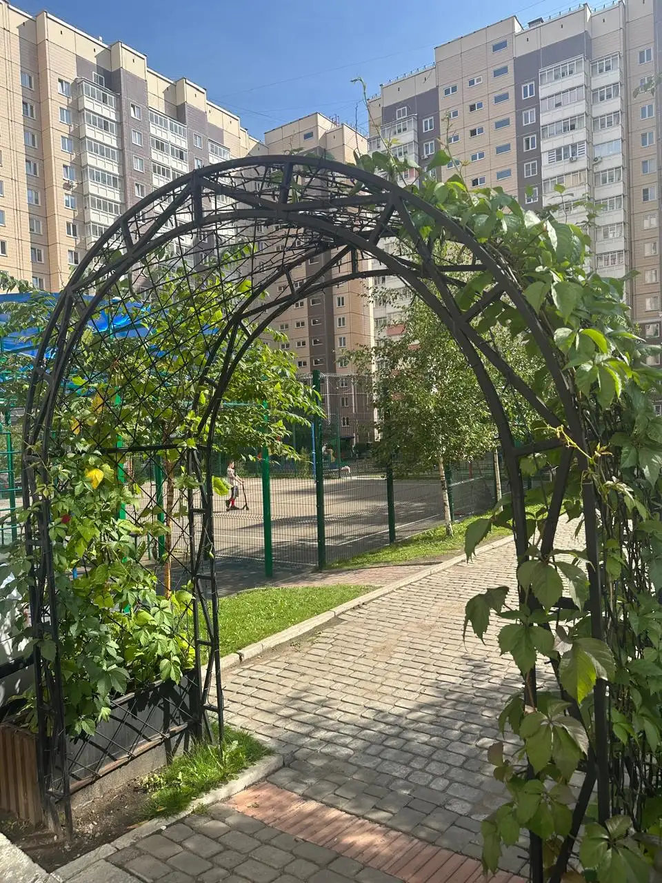 Фото: Telegram-канал «Мэрия Красноярска»