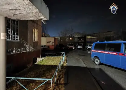 В Челябинске наркоман зверски напал с ножом на 11-летнего мальчика: мужчину хотят признать невменяемым