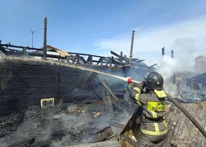 17 пожаров потушили в Красноярском крае за сутки