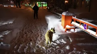 Бастрыкин потребовал доклад по делу о заблокированном проезде в красноярском ЖК