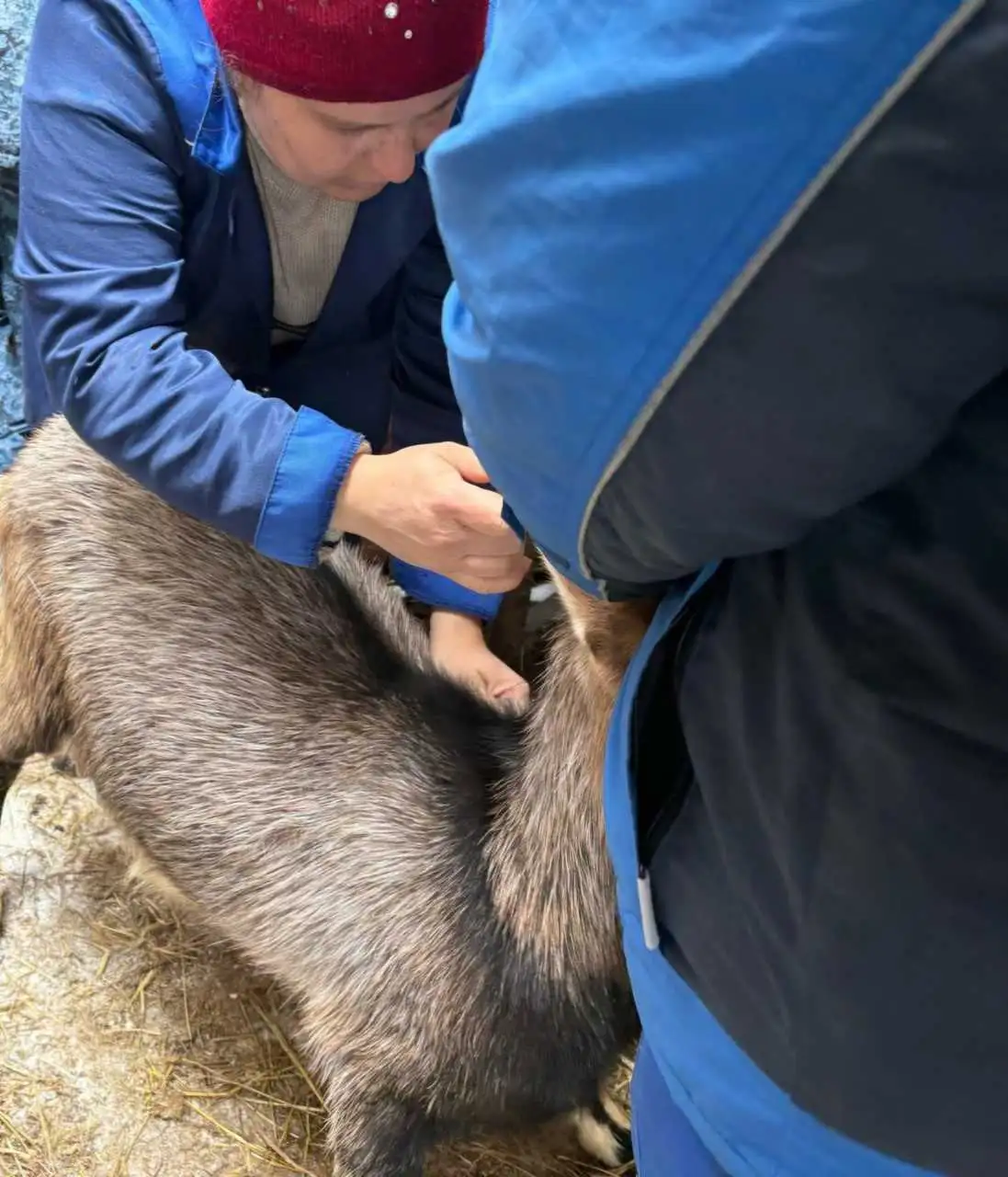 Фото: ГУФССП России по Красноярскому краю