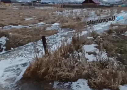 «Соседи уже плавают»: в Красноярске начались первые паводки