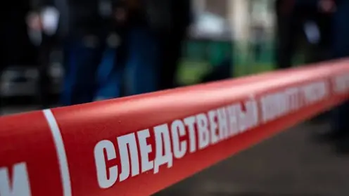 Смерть из-за грязной одежды: жительница Алтая убила знакомого, столкнув его с кровати