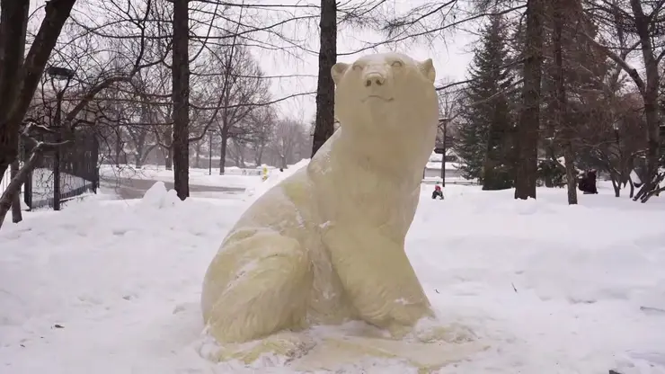 В Московском зоопарке открыли памятник белому медведю Диксону, спасенному в Красноярском крае