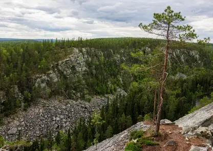 Кемеровчанка выиграла ультратрейл в сибирской тайге