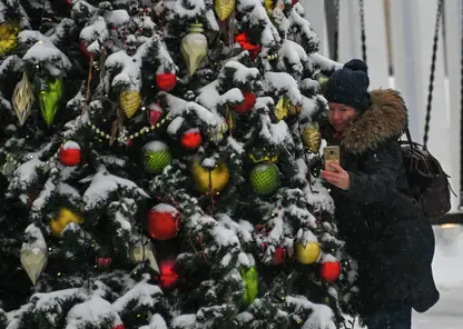 Три новогодних елки откроются на этой неделе в Железнодорожном районе Красноярска