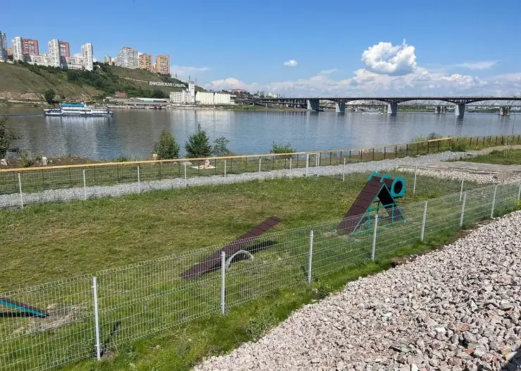 Площадка для выгула собак откроется в микрорайоне «Тихие зори» в Красноярске